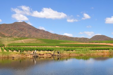 Bağ tepeler ve nehir