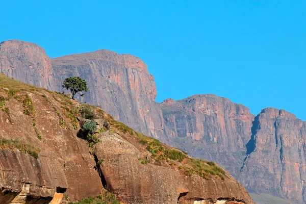 德拉肯斯山风景 — 图库照片