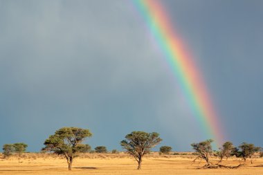 Rainbow landscape - Kalahari desert clipart