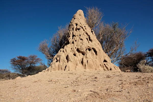 Termite mound against a blue sky — Stock Photo, Image