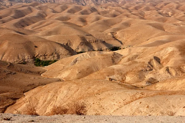 Paisagem do deserto da Judeia — Fotografia de Stock