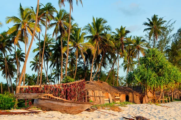 Spiaggia tropicale - Zanzibar — Foto Stock