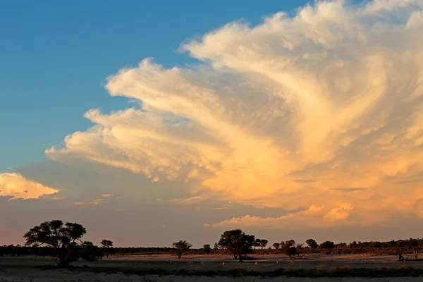 Poušť Kalahari cloudscape — Stock fotografie