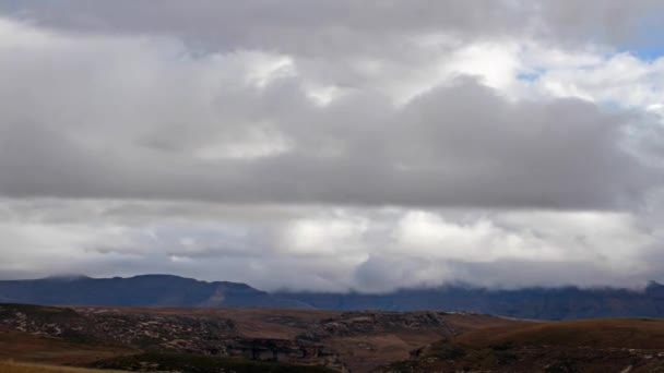 羚羚羊在水坑-埃托沙 — 图库视频影像