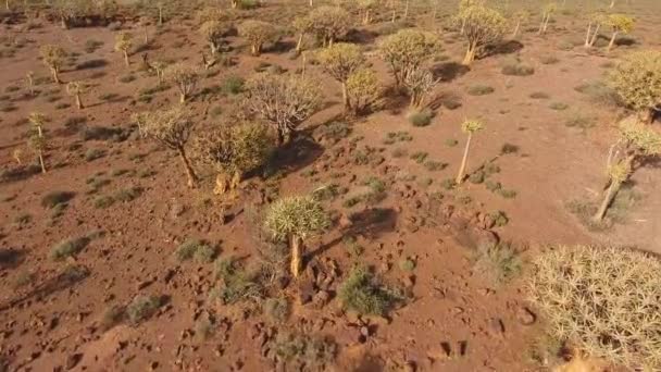 Vue aérienne des carquois 