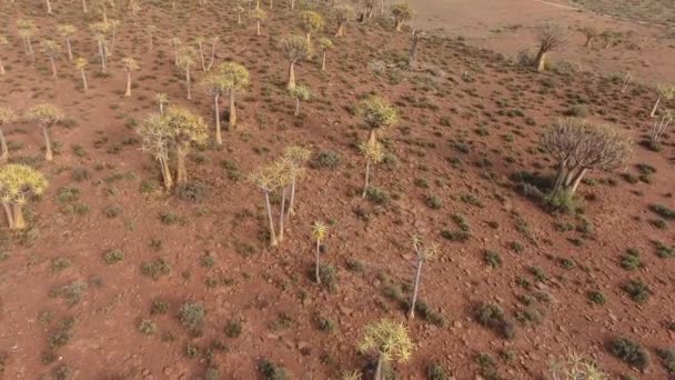 Vue aérienne des carquois 