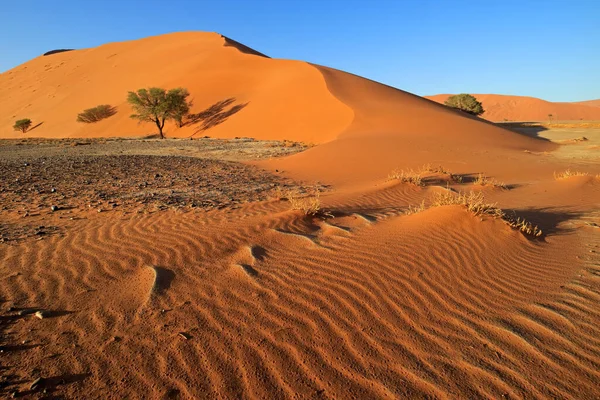 纳米比亚纳米布沙漠Sossusvlei红沙沙丘 石子和荆棘树 — 图库照片