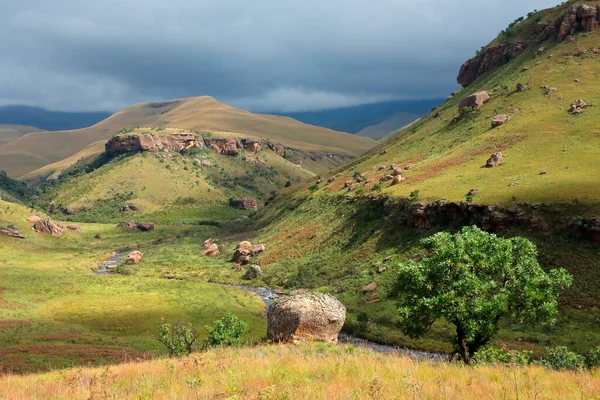 Paisagem Montanhosa Drakensberg Cênica Reserva Natural Castelo Dos Gigantes África — Fotografia de Stock