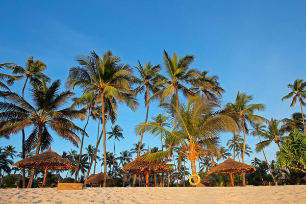 White sand and palm trees on a tropical beach of Zanzibar island