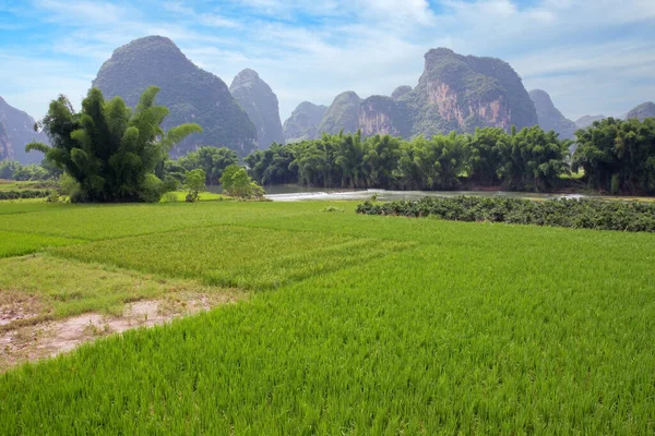 Scénická Krajina Rýžovými Poli Tekoucí Řeka Vápencové Kopce Blízkosti Yangshuo — Stock fotografie