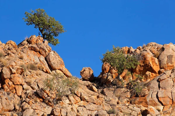 Τοπίο Τραχύ Σχηματισμό Βράχων Και Δέντρο Νότια Ναμίμπια — Φωτογραφία Αρχείου