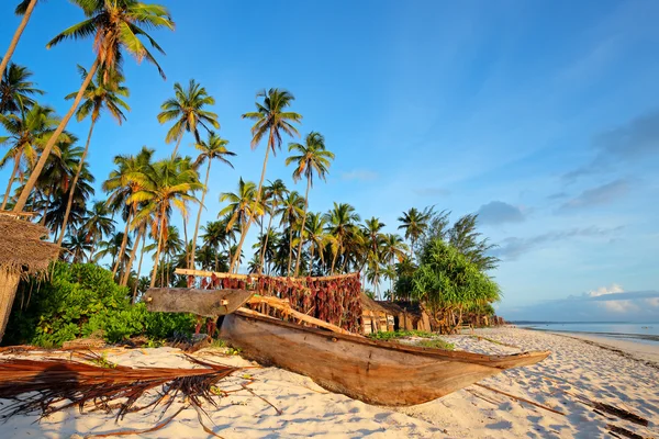 Tropisk strand — Stockfoto