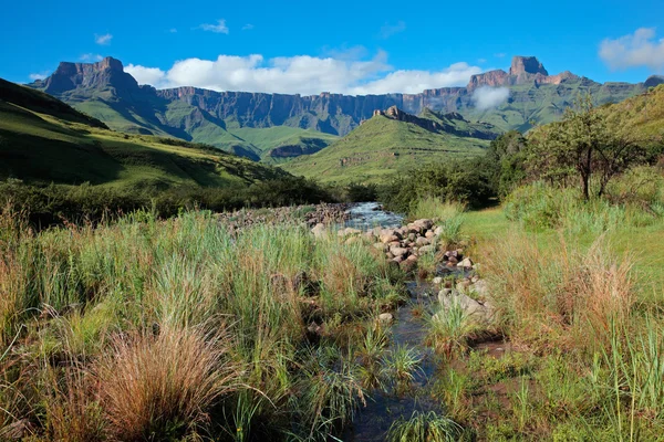Drakensberg Dağları