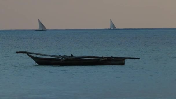 Zanzibar dhows ao nascer do sol — Vídeo de Stock