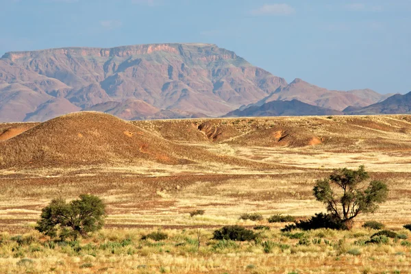 Namibská poušť krajina — Stock fotografie