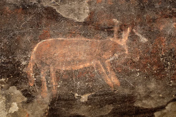 Buşmanlar resim rock — Stok fotoğraf