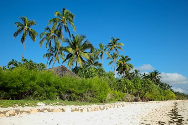 Spiaggia tropicale — Foto Stock