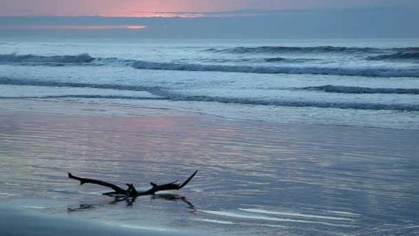 Seascape at sunrise — Stock Video