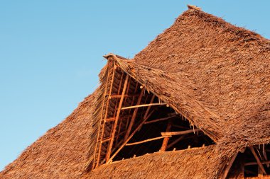 thatched çatı