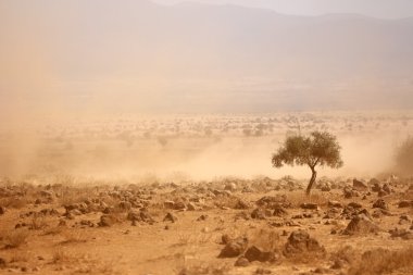 Dusty plains during a drought clipart