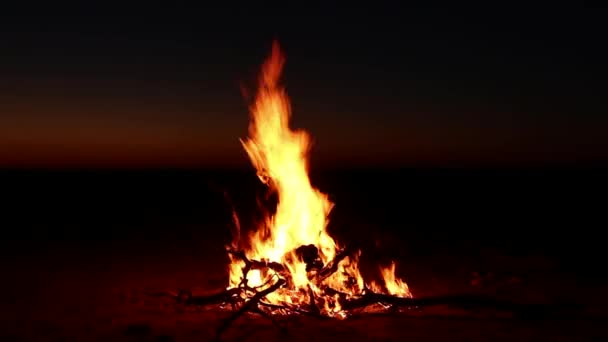 Feu de camp nocturne — Video