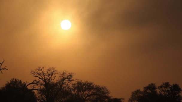 Brume dérivante au lever du soleil 