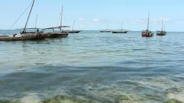 Hagyományos fa halászfaluként - Zanziba — Stock videók