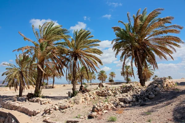 Tel Megiddo National park - Israel — Stockfoto