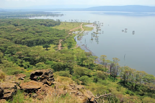 Озеро Накуру - Кения — стоковое фото