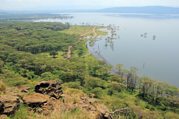 Lake Nakuru - Kenya