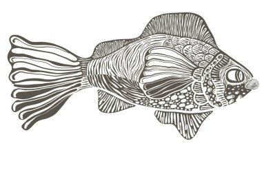 Vector funky balığı. İşleme biçimi 