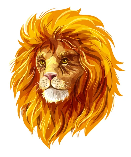 Kleur van lion's head — Stockvector