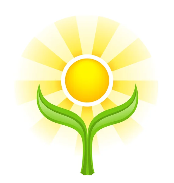2 つの緑の葉の上の太陽 — ストックベクタ