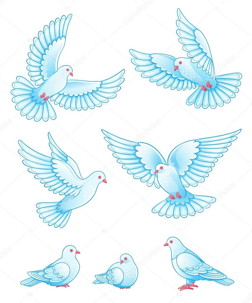 Set of vector pigeons