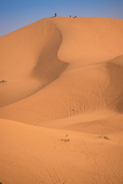 Dunes, Fas, Sahra Çölü — Stok fotoğraf