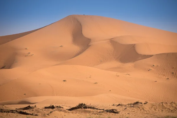Dünen, Marokko, Sahara-Wüste — Stockfoto