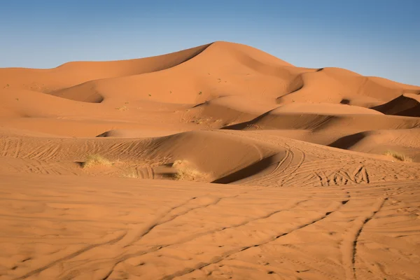 Έρημο της Σαχάρας αμμόλοφων, Μαρόκο, — Φωτογραφία Αρχείου