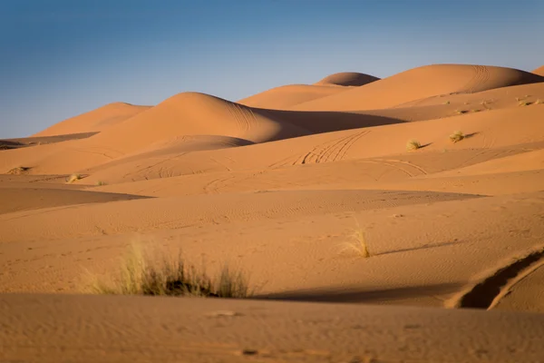 Dunes, Fas, Sahra Çölü — Stok fotoğraf