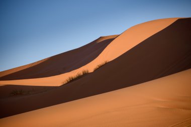 Dunes, Fas, Sahra Çölü