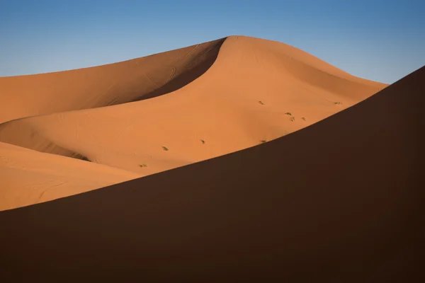 Dunes, Fas, Sahra Çölü — Stok fotoğraf