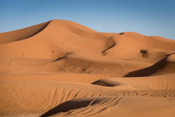 Dunes, Marokkó, Szahara — Stock Fotó