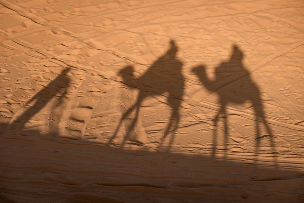 Teve árnyékok a szaharai sivatagi homok, Marokkó. — Stock Fotó