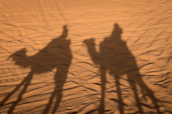 Camel shadows on Sahara Desert sand in Morocco. — Stock Photo, Image