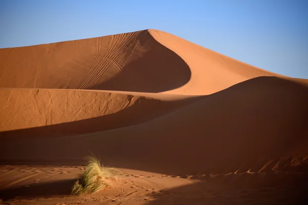 Dunes, Marokkó, Szahara — Stock Fotó