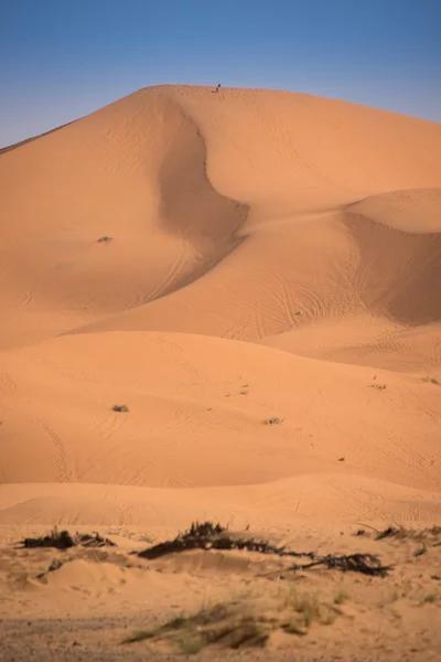 모래 언덕, 모로코, 사하라 사막 — 스톡 사진