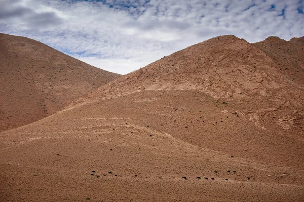 Nomad Valley in het Atlasgebergte, Marokko — Stockfoto