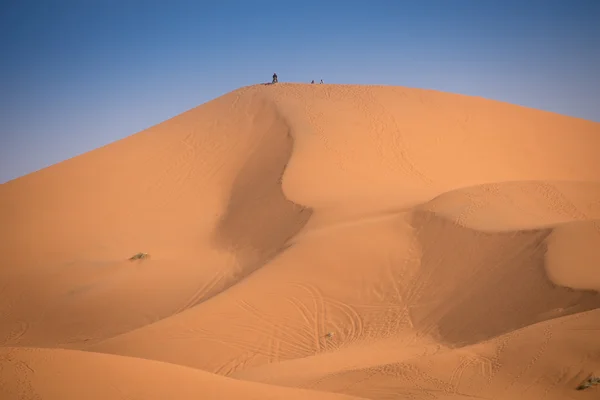 Дюни, Марокко, пустеля Сахара — стокове фото