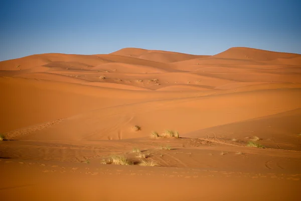 Duinen, Marokko, Sahara woestijn — Stockfoto