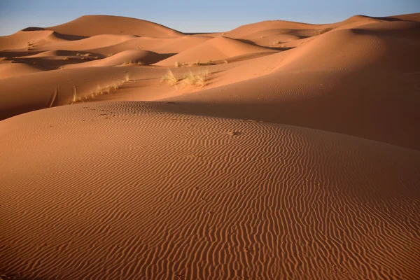 Dunas, Marruecos, desierto del Sahara —  Fotos de Stock