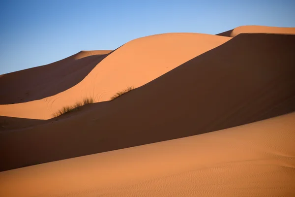 Duinen, Marokko, Sahara woestijn — Stockfoto